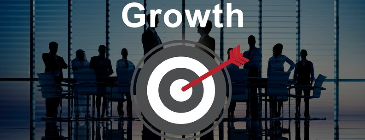 Best Business Growth